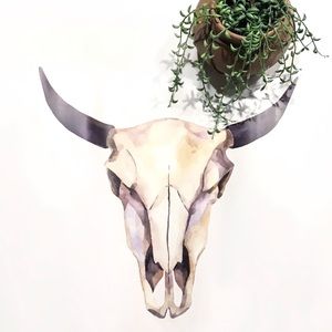 🌵WALL DECAL • NWT